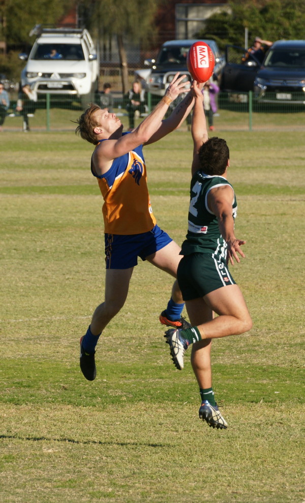 vLions030617 18