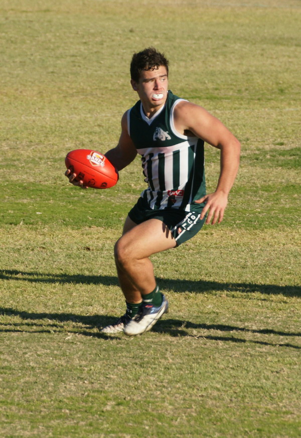 vLions030617 19