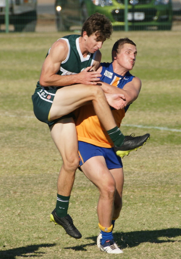 vLions030617 2