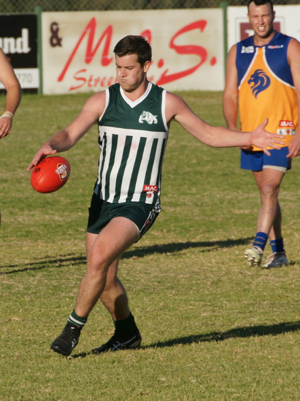 vLions030617 21
