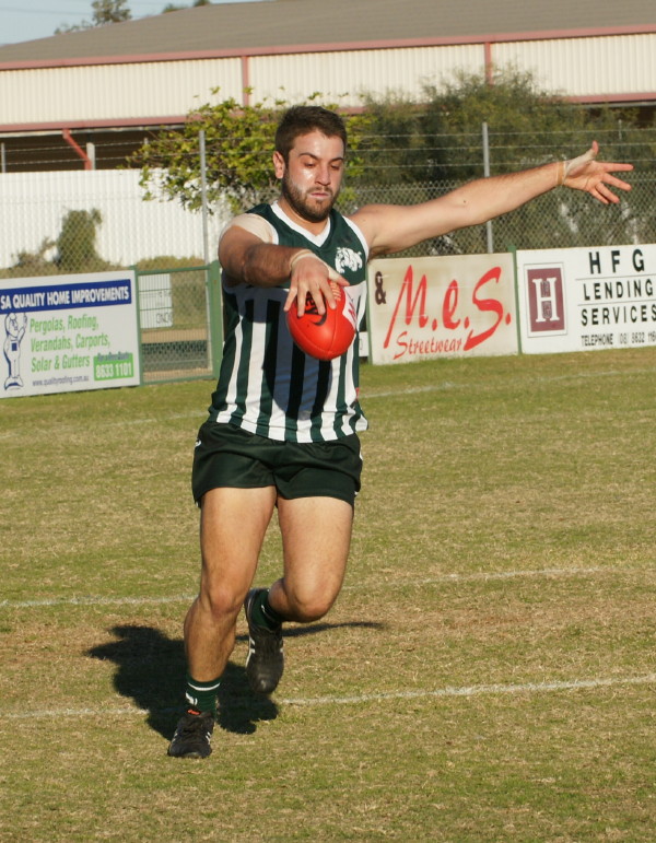 vLions030617 24