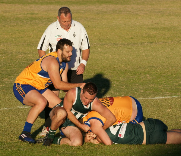vLions030617 27