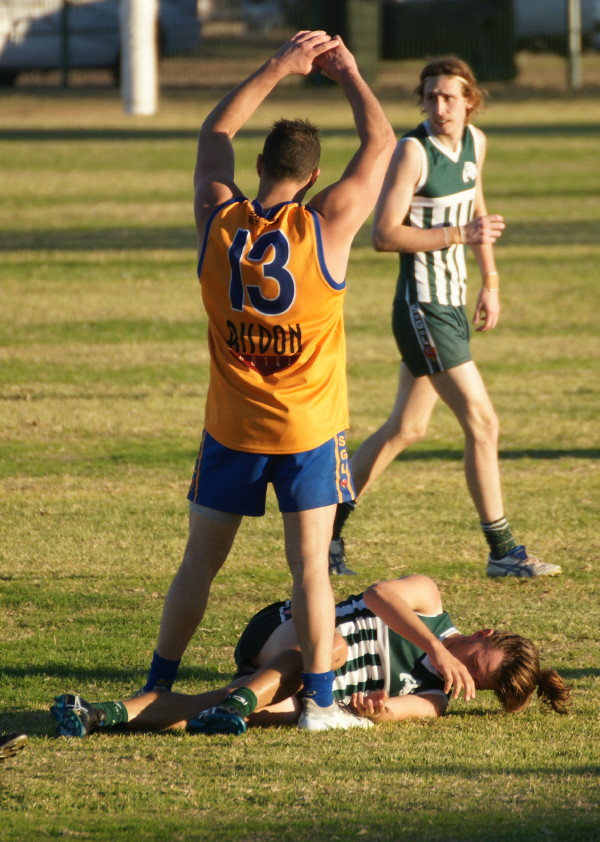 vLions030617 28