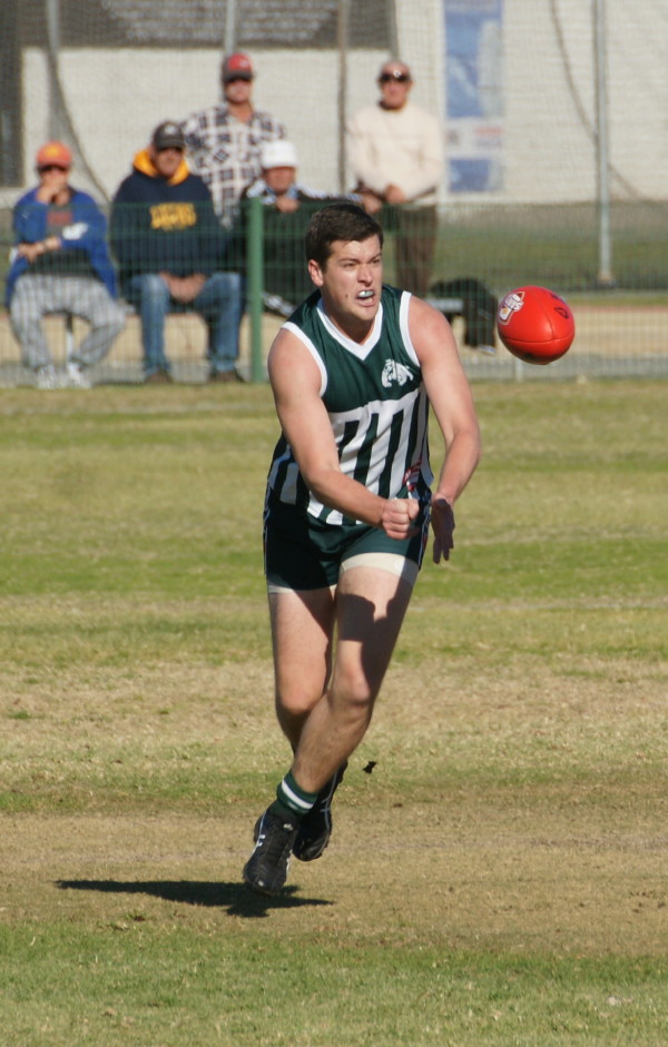 vLions030617 3