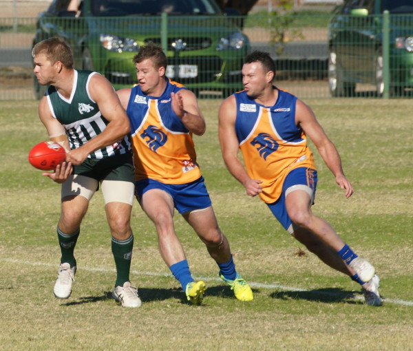 vLions030617 4
