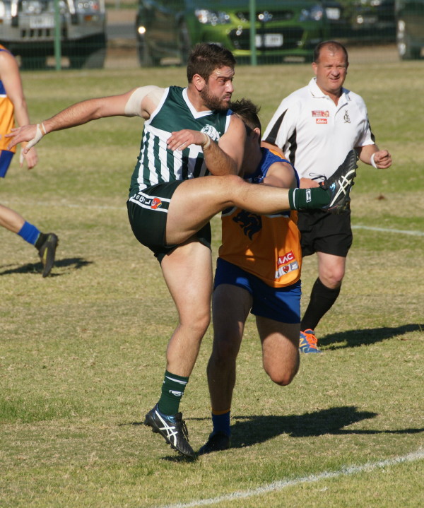 vLions030617 6