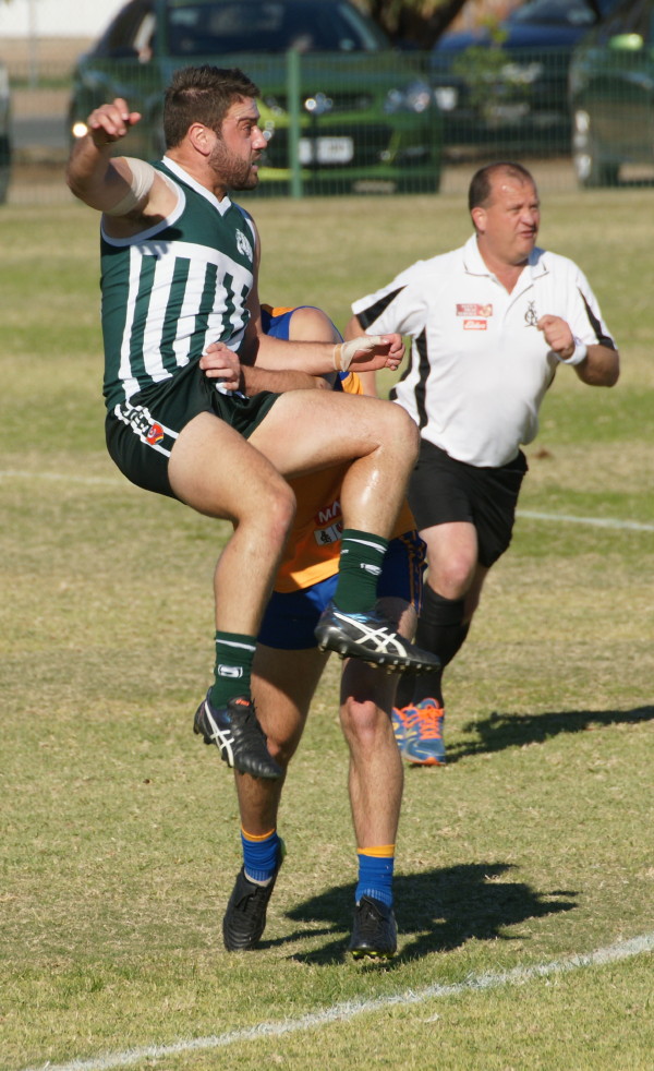 vLions030617 7