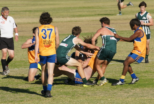 vLions030617 8