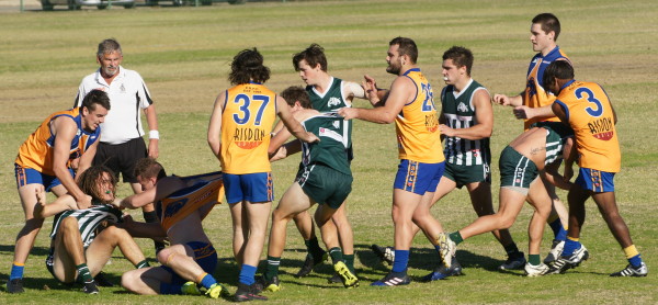 vLions030617 9